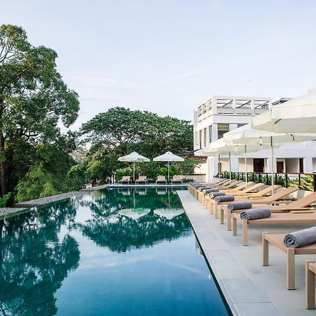 Treeline Urban Resort Сиемрип Экстерьер фото
